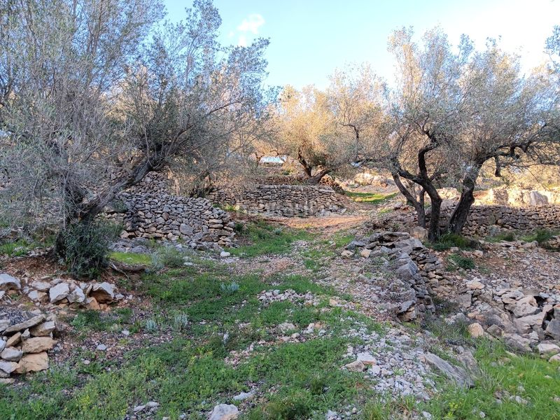 Foto ce98ae4a-c776-474d-8791-453a93c42383. Residential plot in Ferreries Tortosa