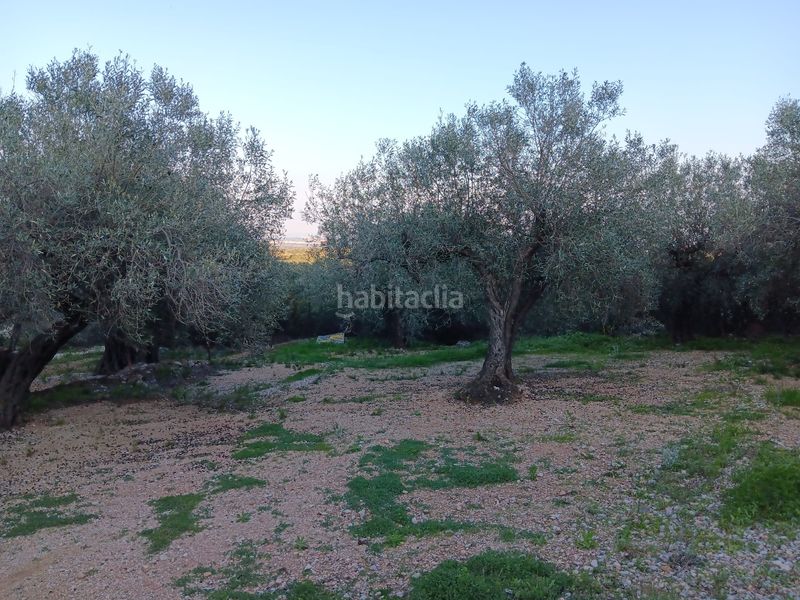 Foto d2ed1087-fdf1-4473-8b56-3d38839c33cc. Residential plot in Ferreries Tortosa