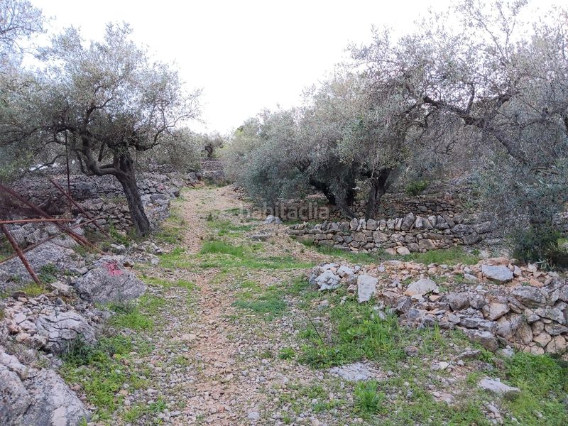 Foto def12822-e016-43d7-b358-a90d563ffbc3. Residential plot in Ferreries Tortosa