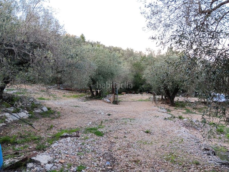Foto e8dbbfbf-7c9c-407c-83aa-769a9530718e. Residential plot in Ferreries Tortosa