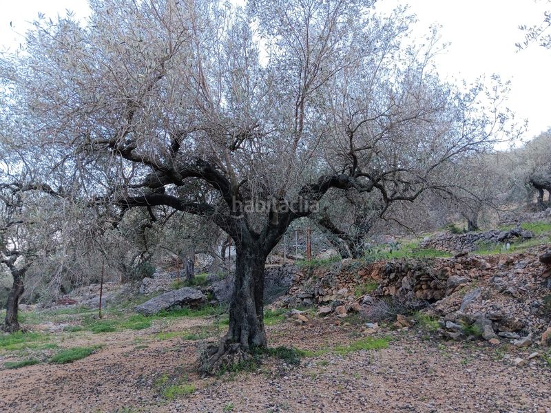Foto f14aac0f-4d7d-4ac3-9e28-43cd1f8151bb. Residential plot in Ferreries Tortosa
