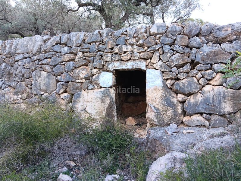 Foto fdf9b8a6-a23a-4622-8b36-f997bfedff09. Residential plot in Ferreries Tortosa