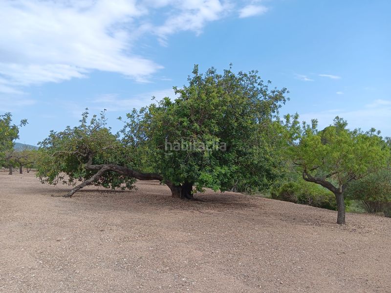 Foto be54ac01-89f4-4f59-b565-2c4a4d4845a6. Residential plot in Jesús - Els Reguers Tortosa