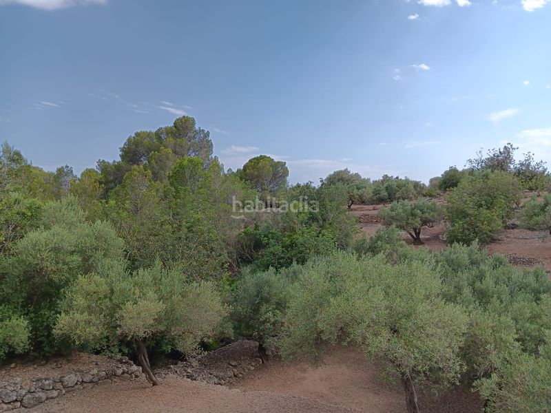 Foto d3056d1a-a0d5-4606-b430-086979fe5a12. Residential plot in Jesús - Els Reguers Tortosa