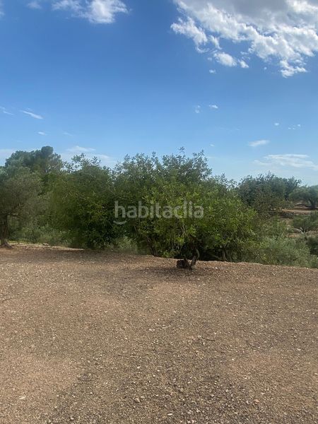 Foto f702a499-d4ae-4255-9158-328b5509efb3. Residential plot in Jesús - Els Reguers Tortosa