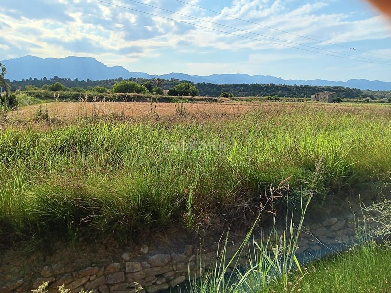 Foto 0d5a2931-aee6-4f9e-a1a4-b3d66915b12a. Terreny residencial a Ferreries Tortosa
