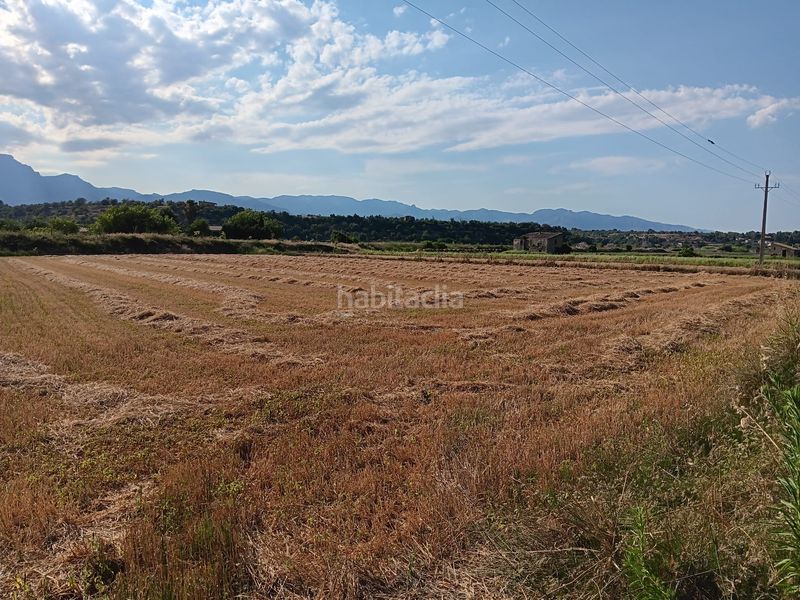 Foto 77f62b72-072d-4457-a73f-f55192229965. Terreny residencial a Ferreries Tortosa