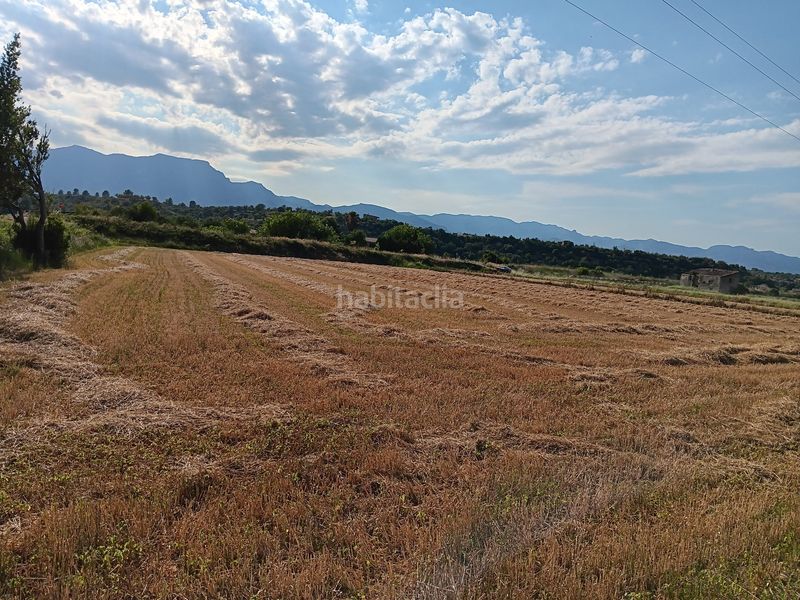 Foto 7d7d273d-5ae2-4aac-aab8-3bd98296947d. Terreny residencial a Ferreries Tortosa