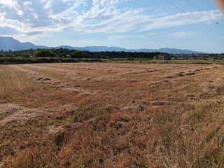 Terreno residenziale in Ferreries