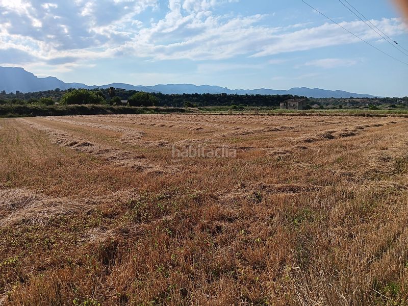 Foto 5e25cbf5-1157-4dd4-bf2e-1741ee1b1048. Wohngrundstück in Ferreries Tortosa
