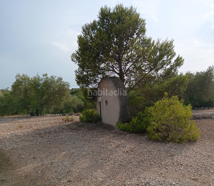 Foto 21604872-c685-44fc-a51f-cb480d981168. Terreny residencial a Ampolla (L´)