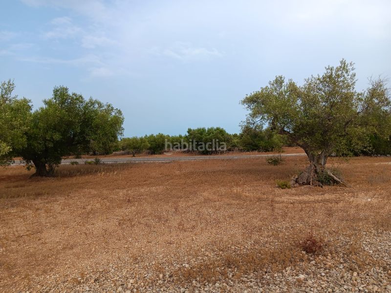 Foto 3888c4ab-3401-42e6-ad1e-50b5d7974394. Terreny residencial a Ampolla (L´)