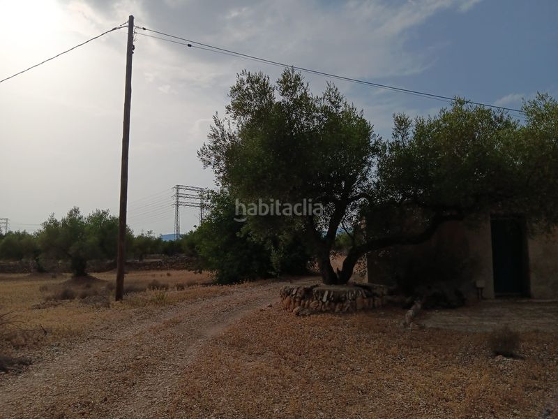Foto b882c040-e33d-4080-b003-cb07ac86e4cb. Terreny residencial a Ampolla (L´)