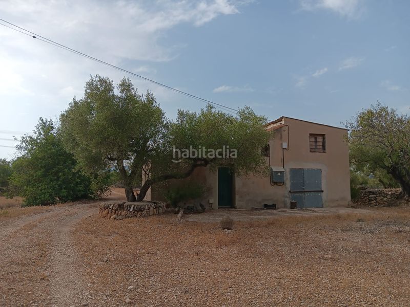 Foto c04777a2-54bb-4227-b6e1-72934f5c1de1. Terreny residencial a Ampolla (L´)