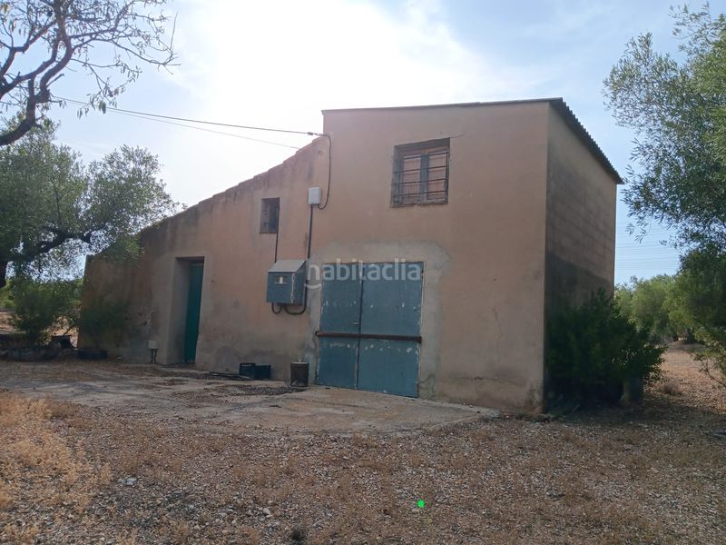 Foto db9e4ce1-ff58-4e4e-becf-e0f9dc7de708. Terreny residencial a Ampolla (L´)
