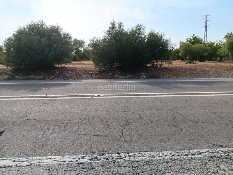 Foto 8c0f466f-bd90-40ed-8b06-48820ba85e7f. Residential plot in Ampolla (L´)