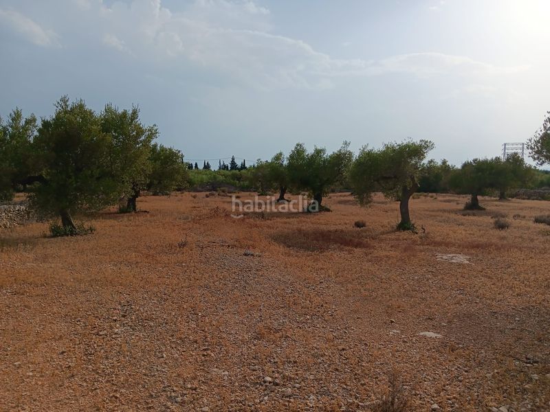 Foto 4eb8943b-38c5-4633-bf1a-2d4500c67381. Terreno residenziale in Ampolla (L´)