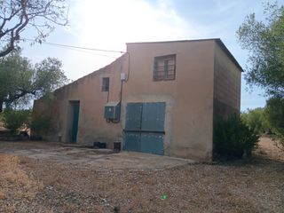 Terreno residenziale in Ampolla (L´)