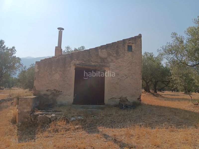 Foto 15b27567-9e69-49ee-aec4-51764b66f94b. Terreno residencial en Ferreries Tortosa