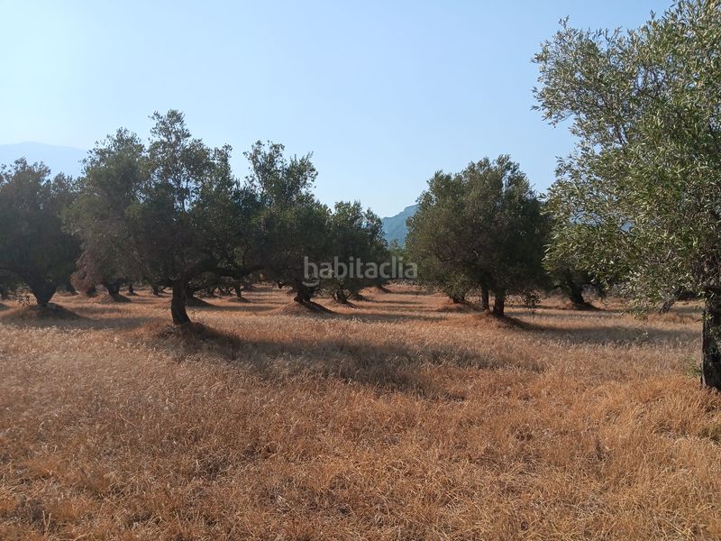 Foto 4c364cc5-a880-4ca8-a052-209d14c9313e. Terreno residencial en Ferreries Tortosa