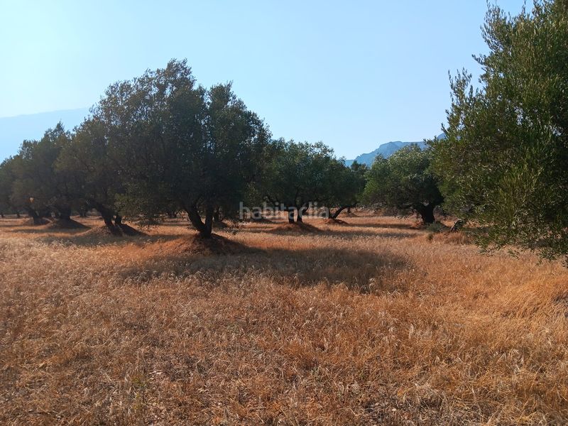 Foto c35a1ae8-20fe-4d69-ba31-ed556ae2f7ad. Terreno residencial en Ferreries Tortosa