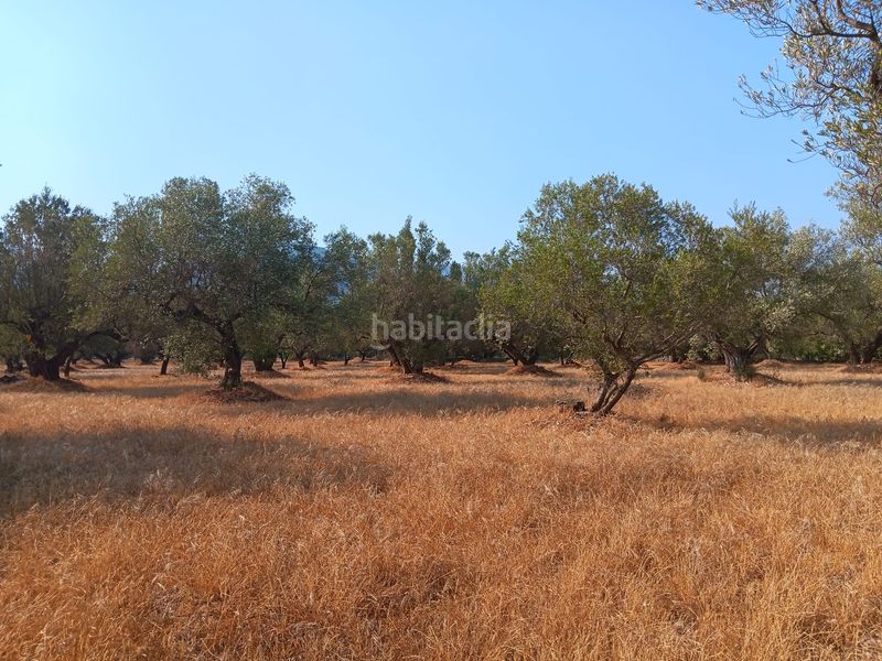 Foto d6f1ea06-4989-4ced-9f2f-6e9c3b10aa79. Terreno residencial en Ferreries Tortosa