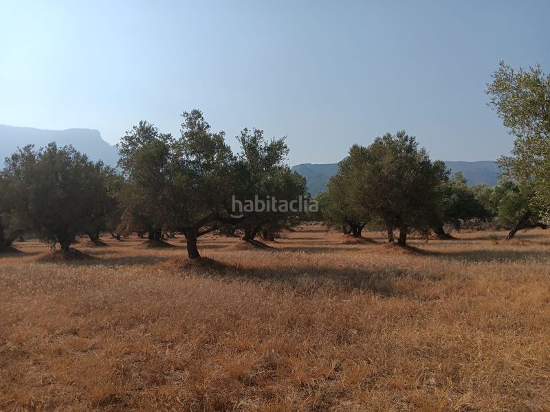 Foto fb281d3a-3b53-4cfb-b626-7c0c42cc2a1f. Terreno residencial en Ferreries Tortosa