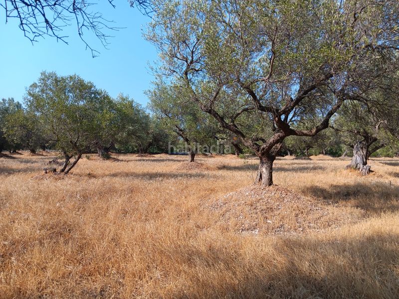 Foto fe685dab-5322-45fd-b80c-97d14a16e1a4. Terreno residencial en Ferreries Tortosa