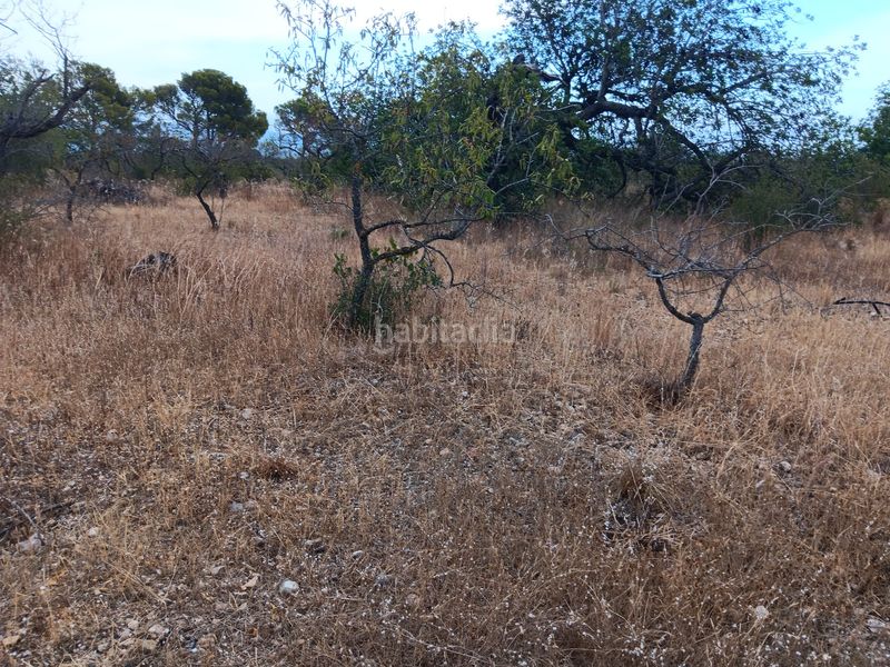 Foto 3d1f680b-3d76-42db-9213-f179b6155f91. Terreno residencial en Roquetes