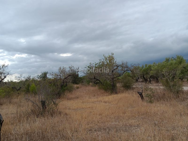 Foto 3fd88e99-b766-437b-a8f3-89aad75d3c9d. Terreno residencial en Roquetes