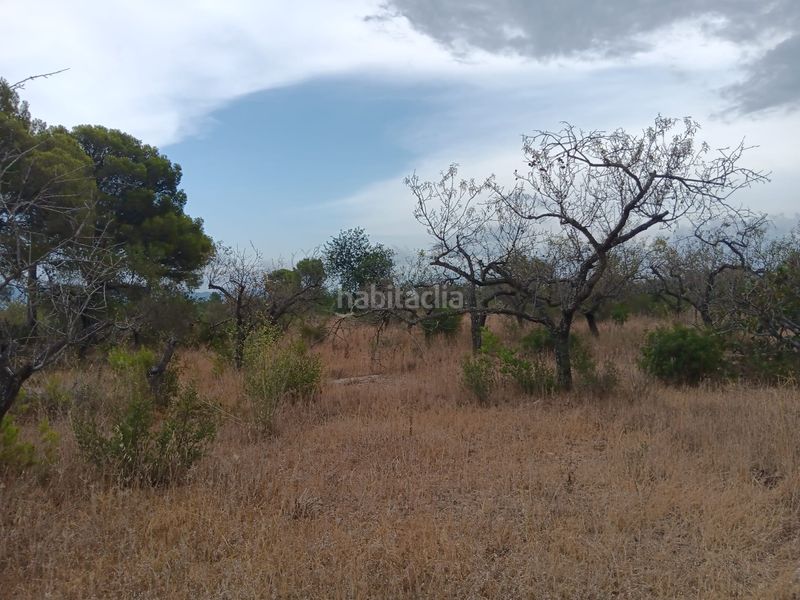 Foto 5a93a0d5-362b-4936-a03c-9c5e2212134a. Terreno residencial en Roquetes