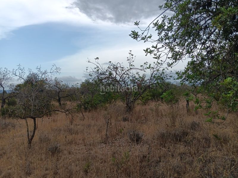 Foto 609f1e2d-47af-46fe-b198-157f73a0a6b2. Terreno residencial en Roquetes