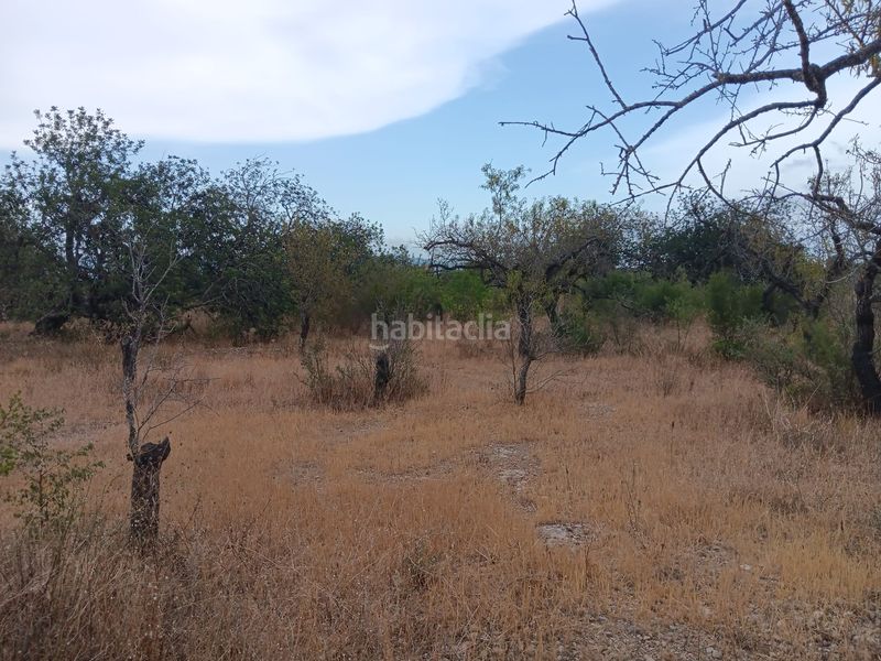 Foto 6397fd27-4958-4194-a473-2e1e6b4a4331. Terreno residencial en Roquetes