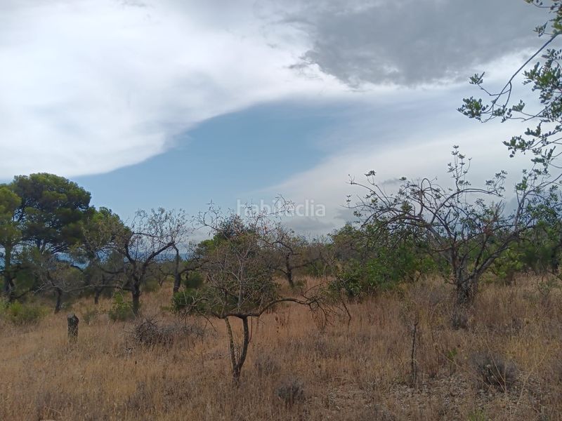 Foto b341cbd4-a195-4def-ab4d-f3325f82ef5a. Terreno residencial en Roquetes