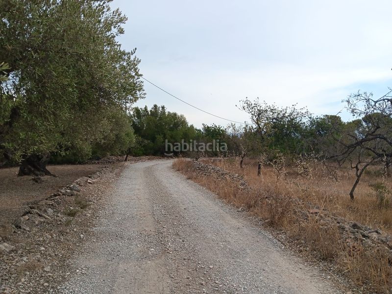 Foto bed7c9cc-5ea6-4aca-8ed1-9a7e43c351a1. Terreno residencial en Roquetes