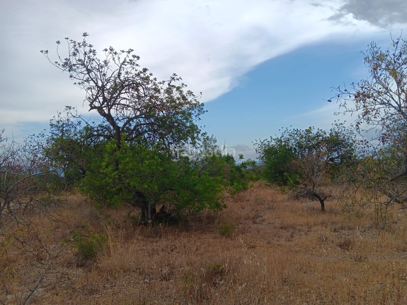 Foto ce23b2c0-b8bf-4802-9c4b-3f1c18dd0bb5. Terreno residencial en Roquetes