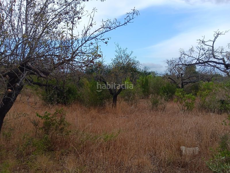 Foto d594a126-7652-47f6-b22a-27b793b6a347. Terreno residencial en Roquetes