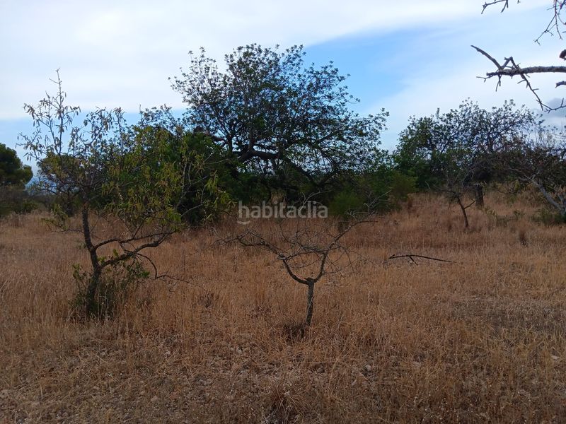 Foto f474d0cc-056f-40a8-b594-722560ddb818. Terreno residencial en Roquetes