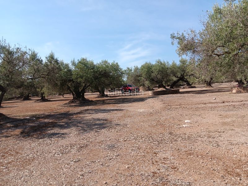 Foto f0769792-9e3f-4e9e-8417-588031338507. Terreno residencial en Roquetes