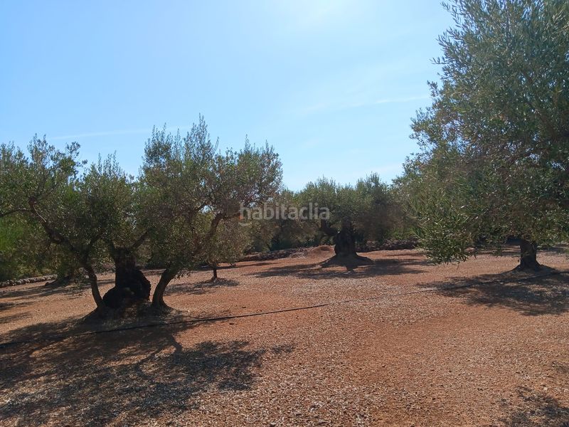 Foto c10b2630-9d06-4bdc-9fd6-d85ff3fba88f. Wohngrundstück in Roquetes