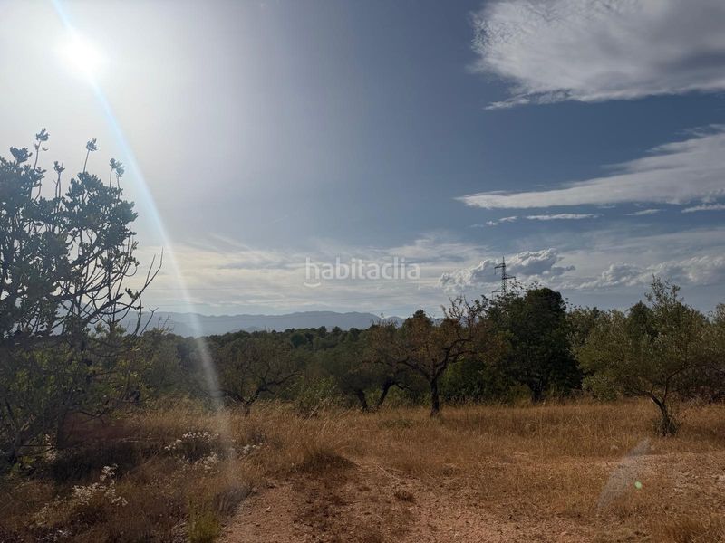 Foto 733d39dd-16c1-4c23-ab6a-664d2b6d0cdd. Terreno residencial en Bítem Tortosa