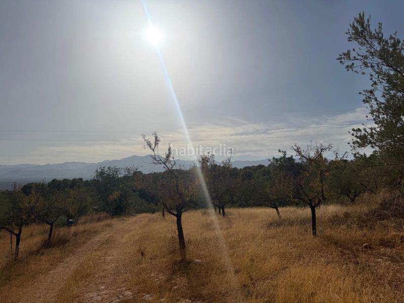 Foto bd943486-2319-4cc0-a293-232dd116d150. Terreno residencial en Bítem Tortosa