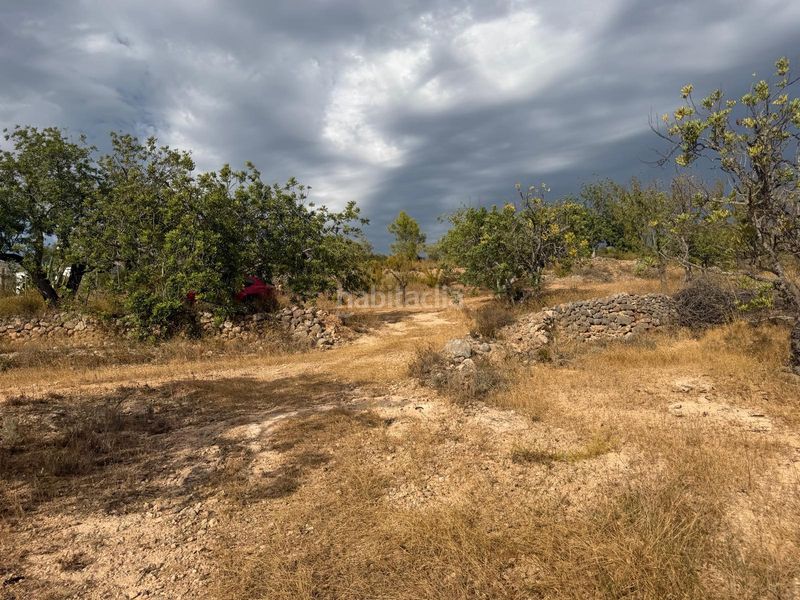 Foto c7507442-d0f0-43bb-bf01-6ee9fb7d4405. Terreno residencial en Bítem Tortosa
