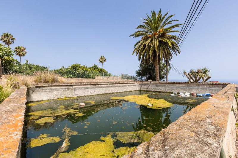 Foto 144db4ef-3f65-4748-808f-9b0d3417e5db. Casale con parcheggio in Tejina San Cristóbal de La Laguna