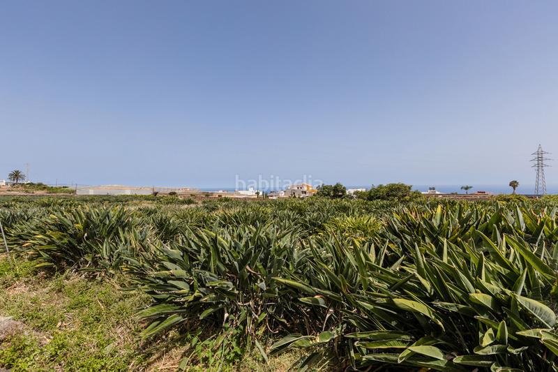 Foto 36441766-e044-4d8f-8eb7-bbe38e06ad26. Casale con parcheggio in Tejina San Cristóbal de La Laguna