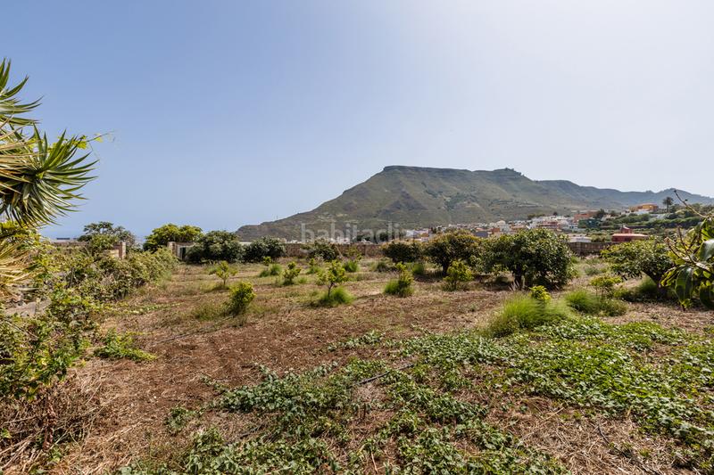 Foto 4a93436a-7666-48c5-9db9-a3cdf869394b. Casale con parcheggio in Tejina San Cristóbal de La Laguna