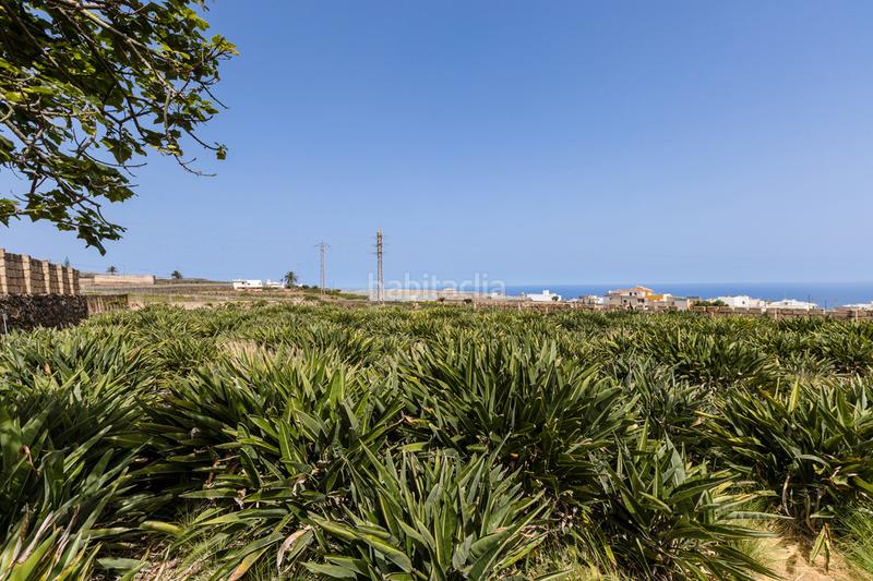 Foto 74d4b00b-4b2f-40c1-8b63-bce535758c92. Casale con parcheggio in Tejina San Cristóbal de La Laguna