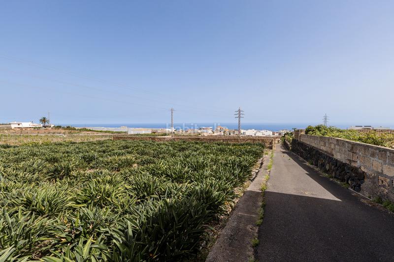 Foto 7a1444c1-cd0b-4c1a-8c5d-c33054f53a06. Casale con parcheggio in Tejina San Cristóbal de La Laguna