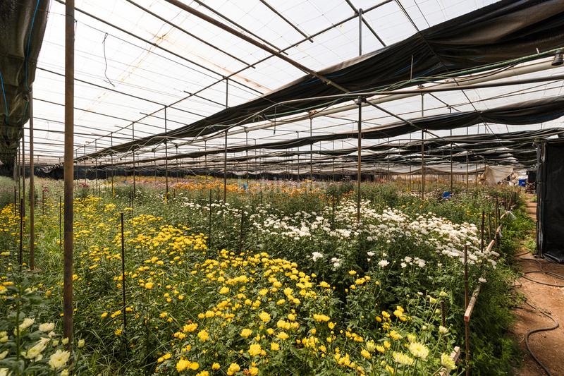 Foto 82cd2422-533f-48bb-a445-30416ba148e3. Casale con parcheggio in Tejina San Cristóbal de La Laguna