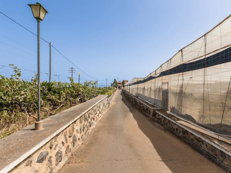 Foto c4ce8f55-8c03-4516-8958-c0e725c0dbfe. Casale con parcheggio in Tejina San Cristóbal de La Laguna